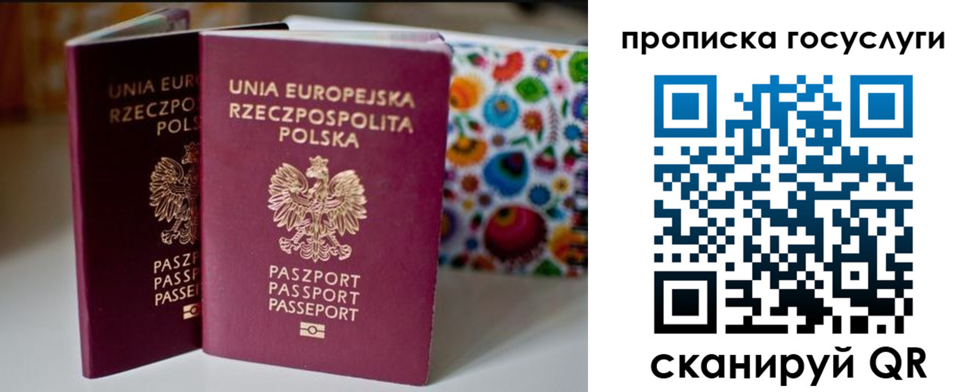 пропишу в квартире в Большом Камне